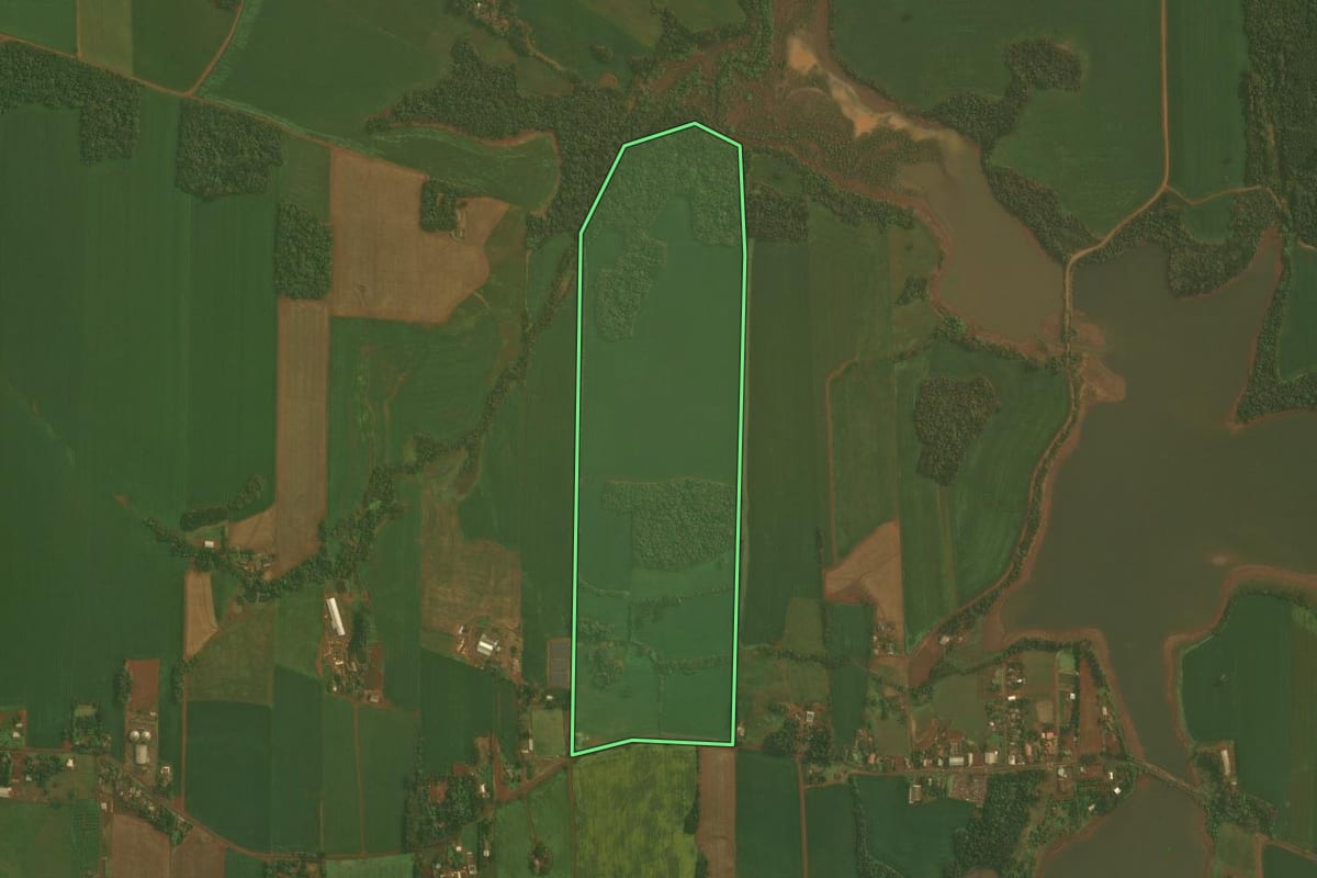 Imagem de satélite do imóvel rural em Quinze de Novembro (RS), com o contorno declarado no CAR desenhado por cima.