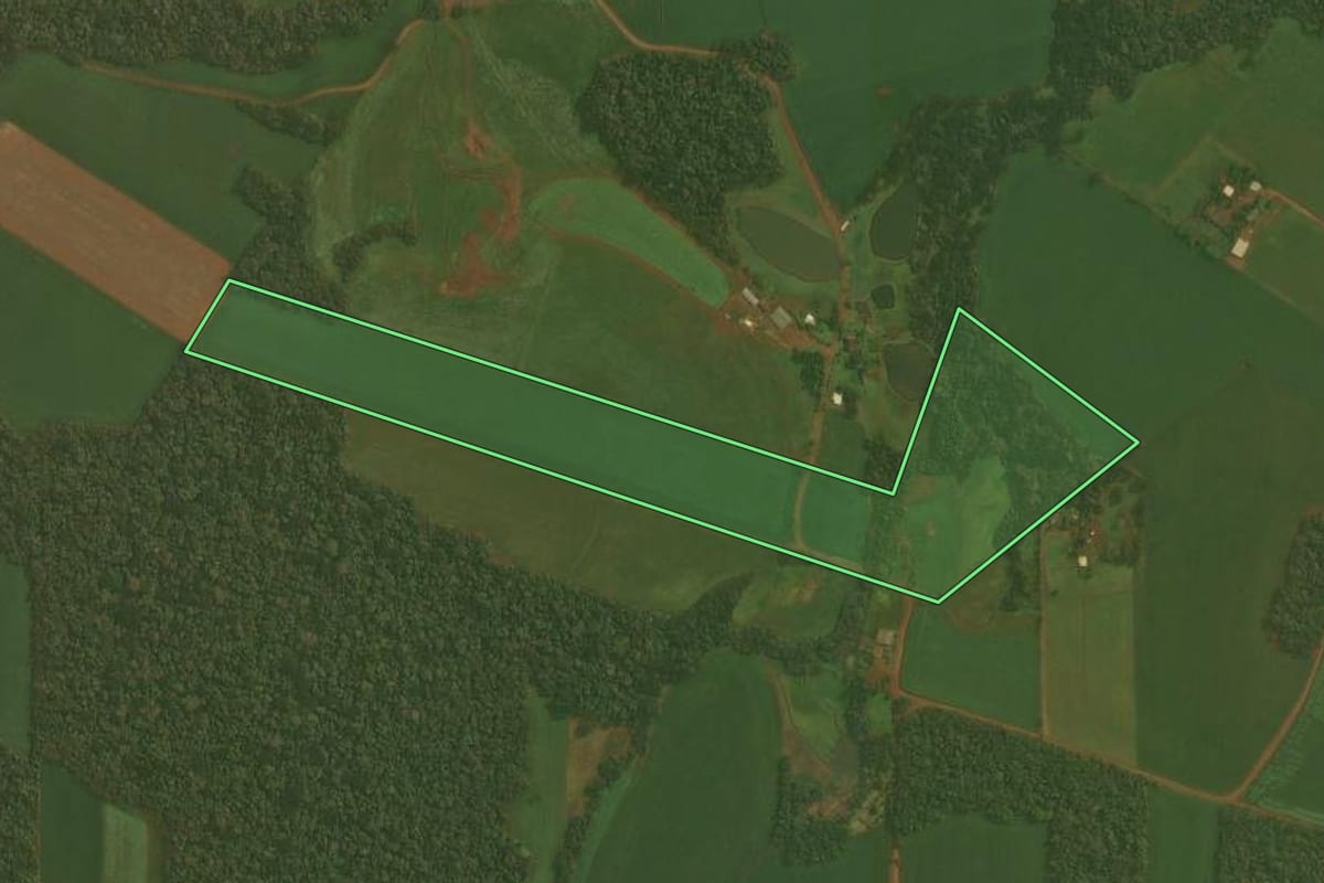 Imagem de satélite do imóvel rural em Quinze de Novembro (RS), com o contorno declarado no CAR desenhado por cima.