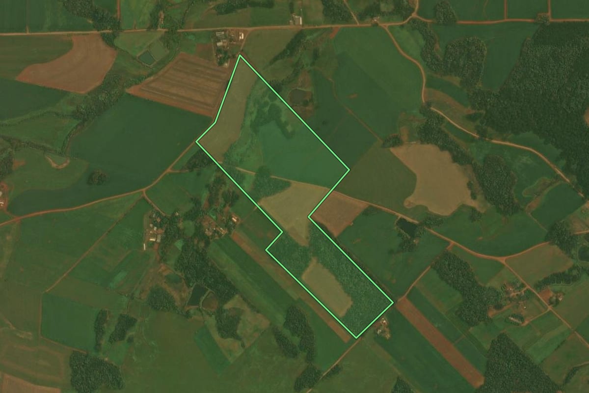 Imagem de satélite do imóvel rural em Quinze de Novembro (RS), com o contorno declarado no CAR desenhado por cima.