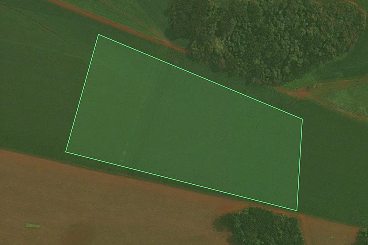 Imagem de satélite do imóvel rural em Quinze de Novembro (RS), com o contorno declarado no CAR desenhado por cima.