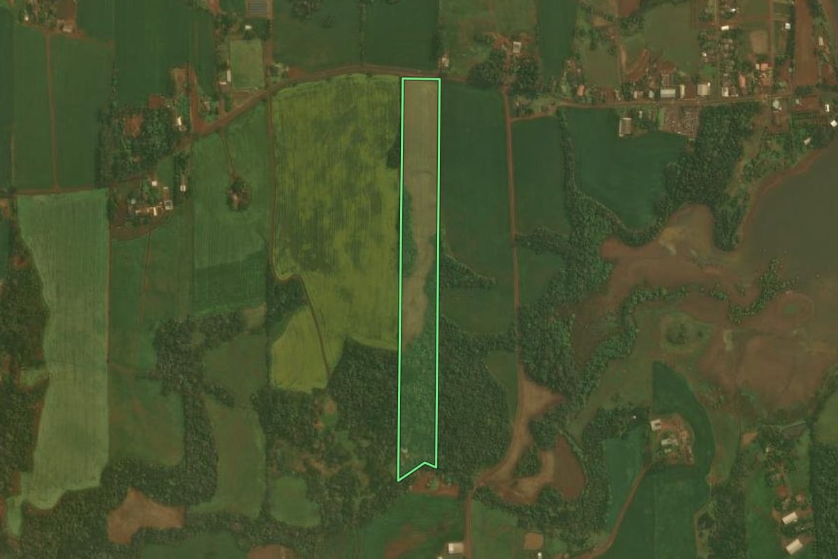 Imagem de satélite do imóvel rural em Quinze de Novembro (RS), com o contorno declarado no CAR desenhado por cima.