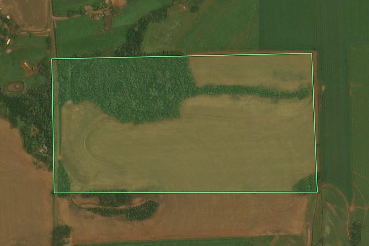 Imagem de satélite do imóvel rural em Quinze de Novembro (RS), com o contorno declarado no CAR desenhado por cima.