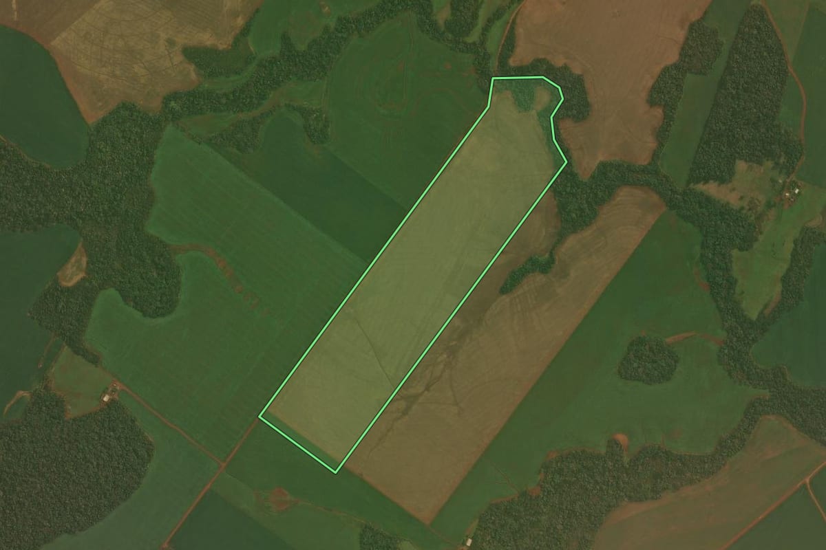 Imagem de satélite do imóvel rural em Quinze de Novembro (RS), com o contorno declarado no CAR desenhado por cima.
