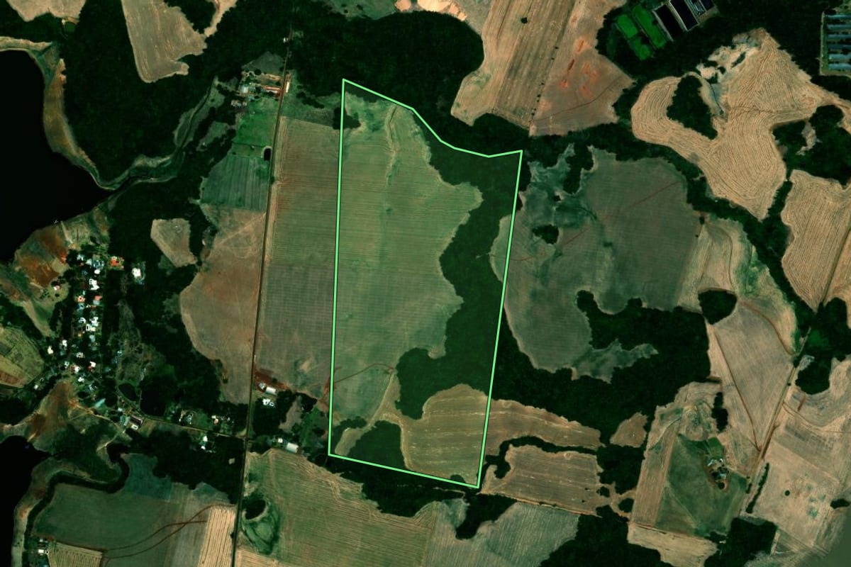 Imagem de satélite do imóvel rural em Quinze de Novembro (RS), com o contorno declarado no CAR desenhado por cima.