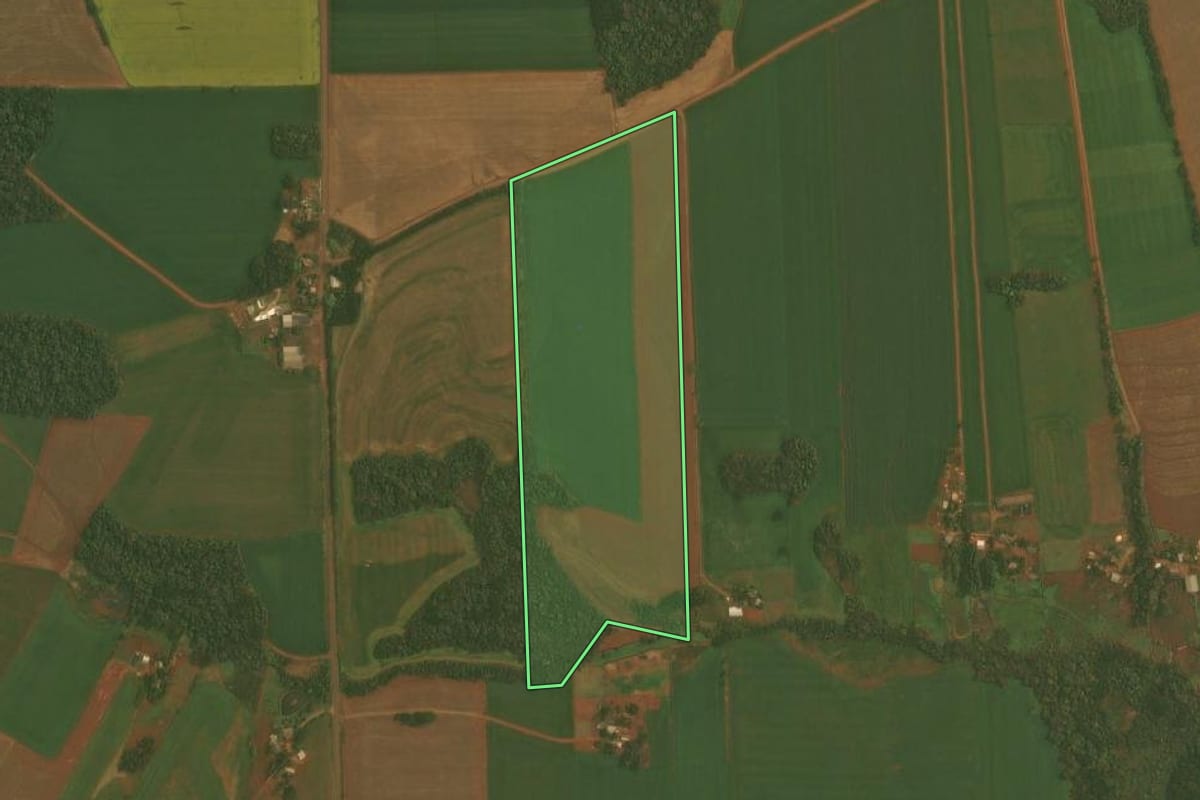 Imagem de satélite do imóvel rural em Quinze de Novembro (RS), com o contorno declarado no CAR desenhado por cima.