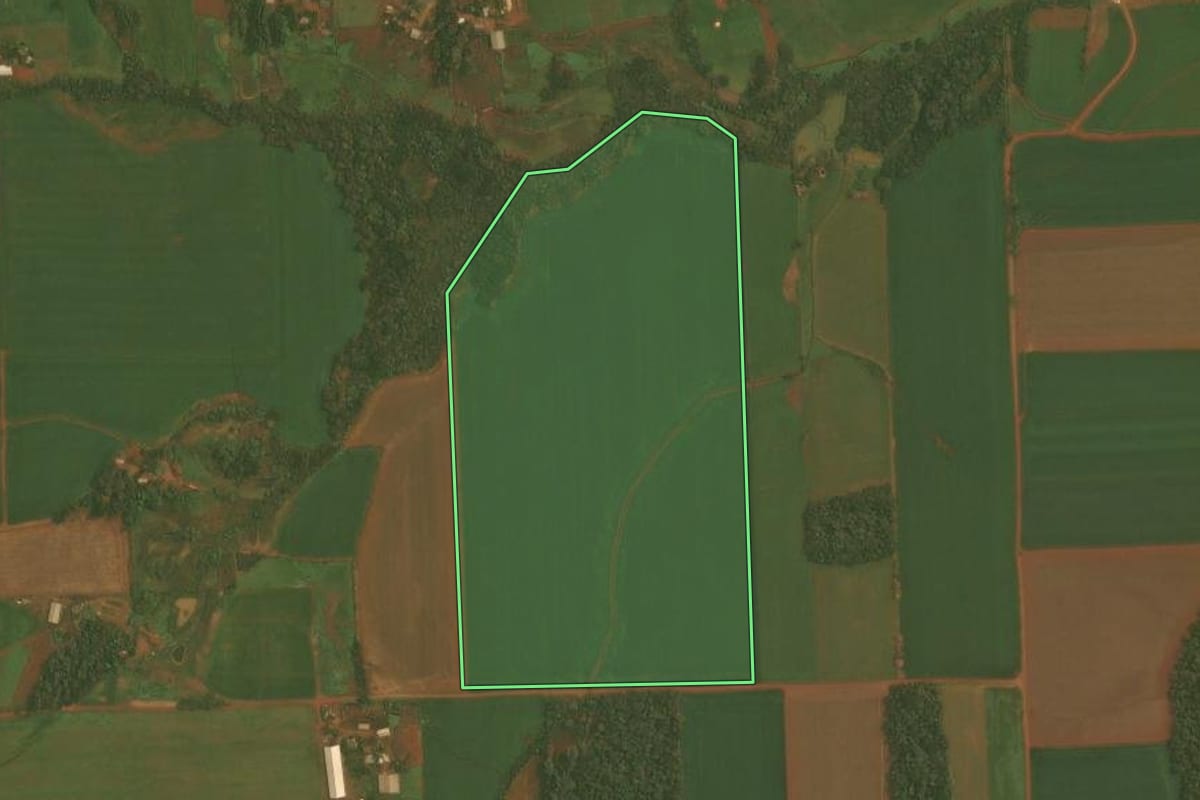 Imagem de satélite do imóvel rural em Quinze de Novembro (RS), com o contorno declarado no CAR desenhado por cima.