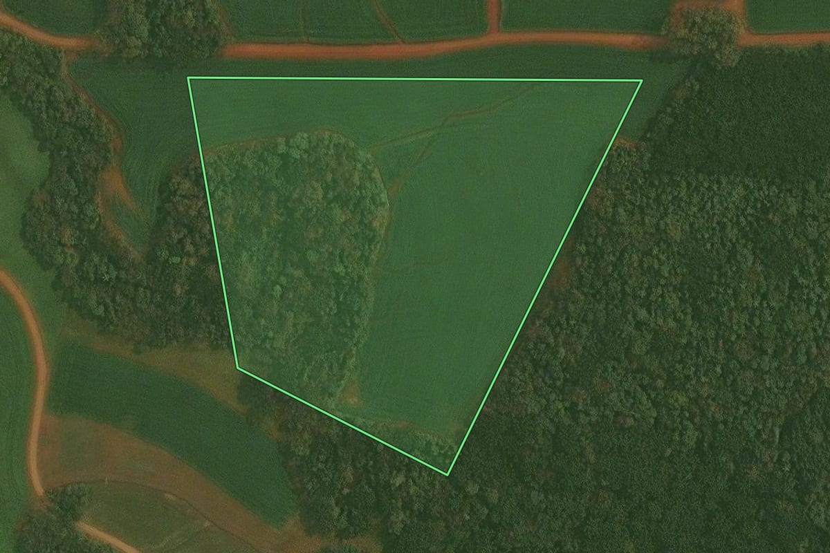 Imagem de satélite do imóvel rural em Quinze de Novembro (RS), com o contorno declarado no CAR desenhado por cima.