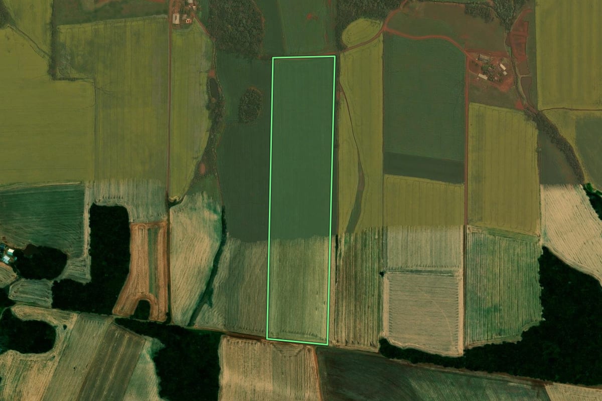 Imagem de satélite do imóvel rural em Quinze de Novembro (RS), com o contorno declarado no CAR desenhado por cima.
