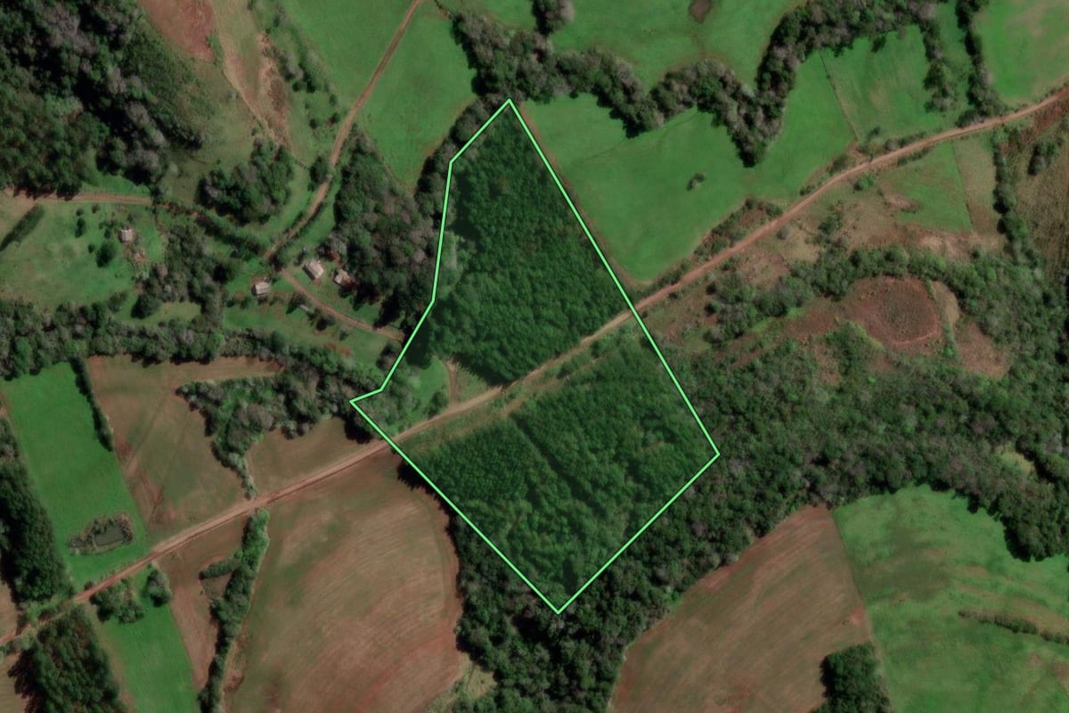 Imagem de satélite do imóvel rural em Redentora (RS), com o contorno declarado no CAR desenhado por cima.