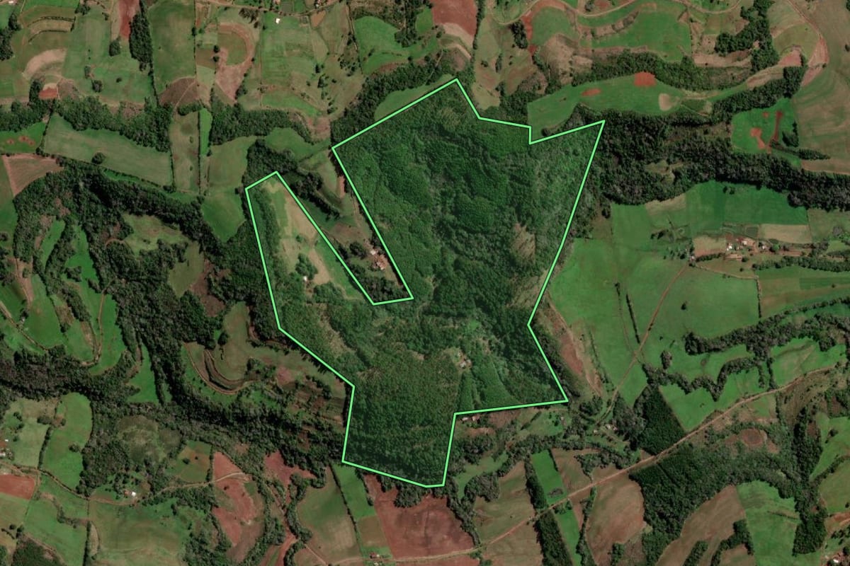 Imagem de satélite do imóvel rural em Redentora (RS), com o contorno declarado no CAR desenhado por cima.