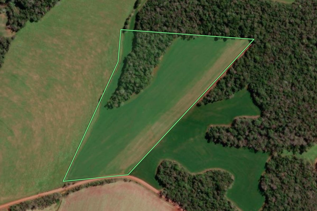 Imagem de satélite do imóvel rural em Redentora (RS), com o contorno declarado no CAR desenhado por cima.