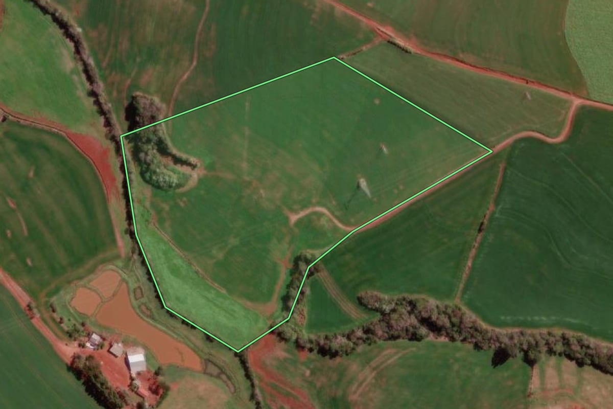 Imagem de satélite do imóvel rural em Redentora (RS), com o contorno declarado no CAR desenhado por cima.