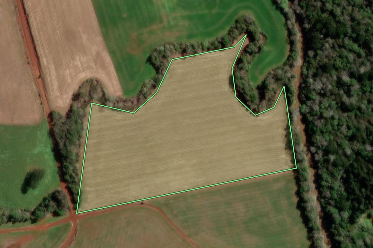 Imagem de satélite do imóvel rural em Redentora (RS), com o contorno declarado no CAR desenhado por cima.