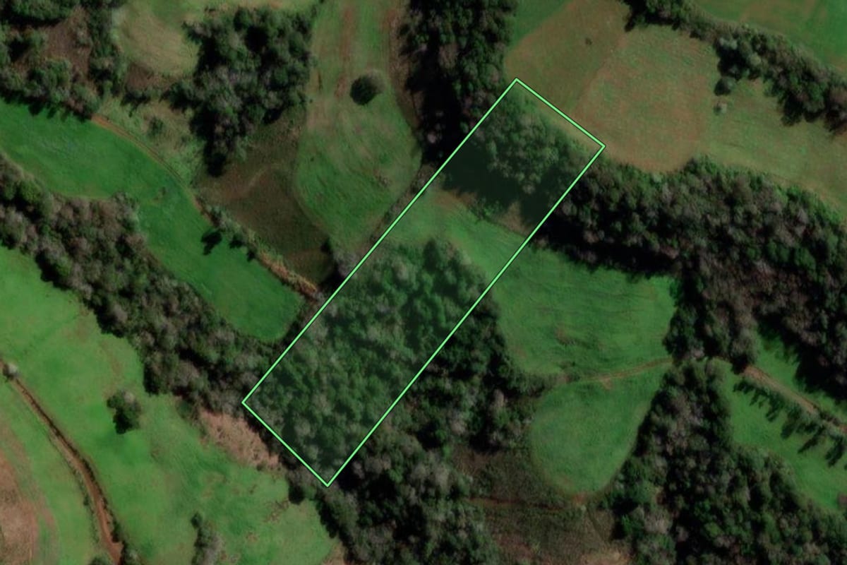 Imagem de satélite do imóvel rural em Redentora (RS), com o contorno declarado no CAR desenhado por cima.