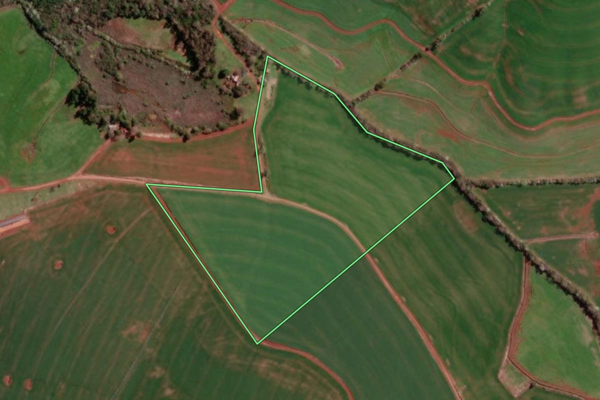 Imagem de satélite do imóvel rural em Redentora (RS), com o contorno declarado no CAR desenhado por cima.