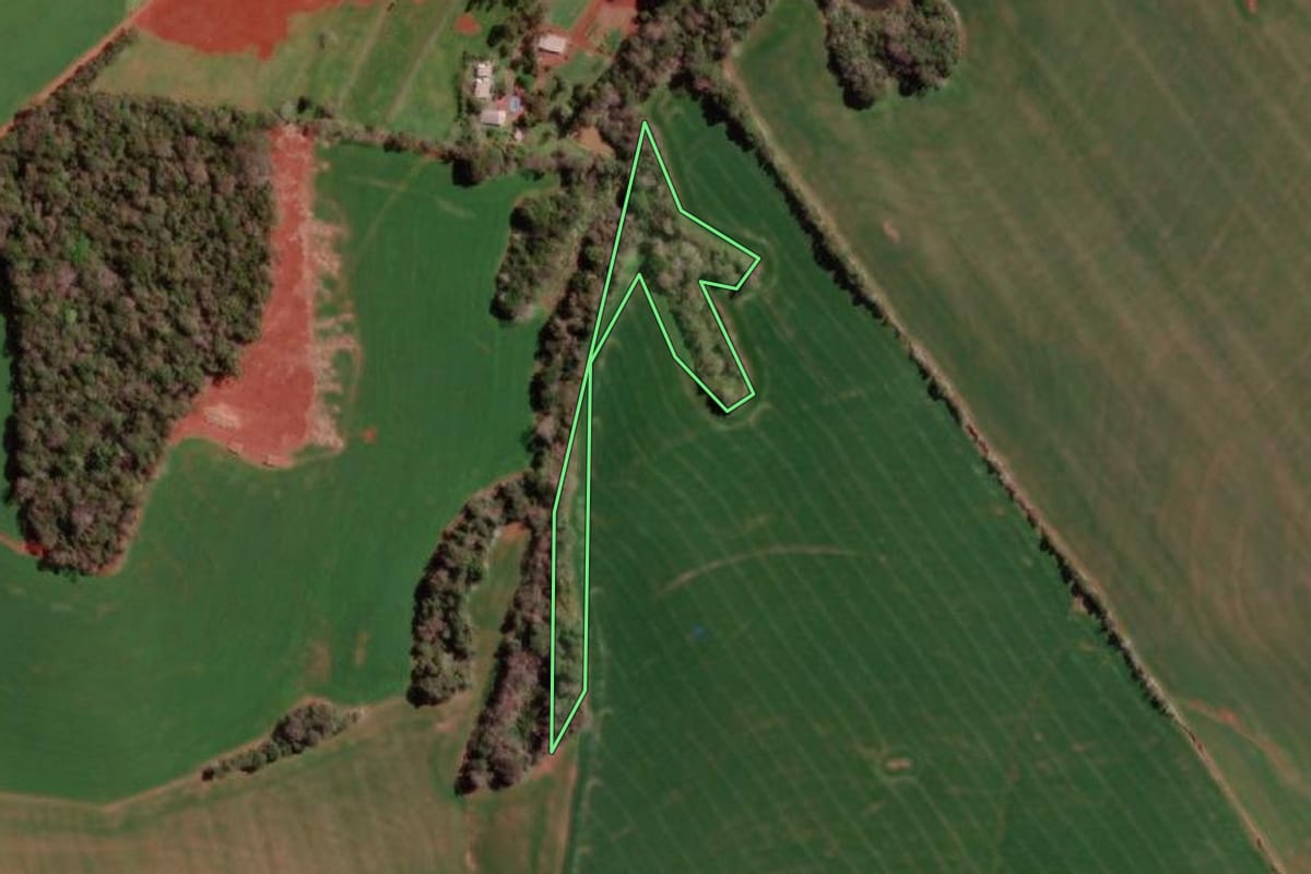 Imagem de satélite do imóvel rural em Redentora (RS), com o contorno declarado no CAR desenhado por cima.