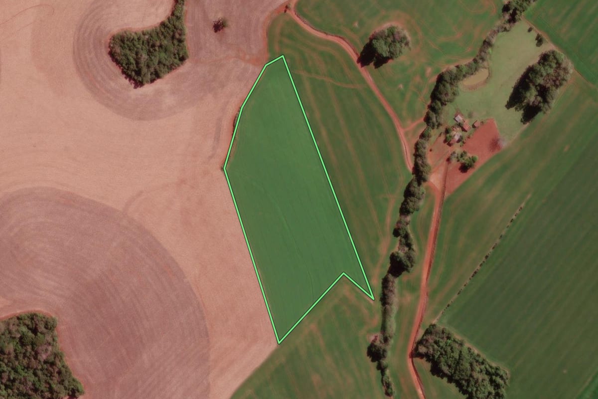 Imagem de satélite do imóvel rural em Redentora (RS), com o contorno declarado no CAR desenhado por cima.