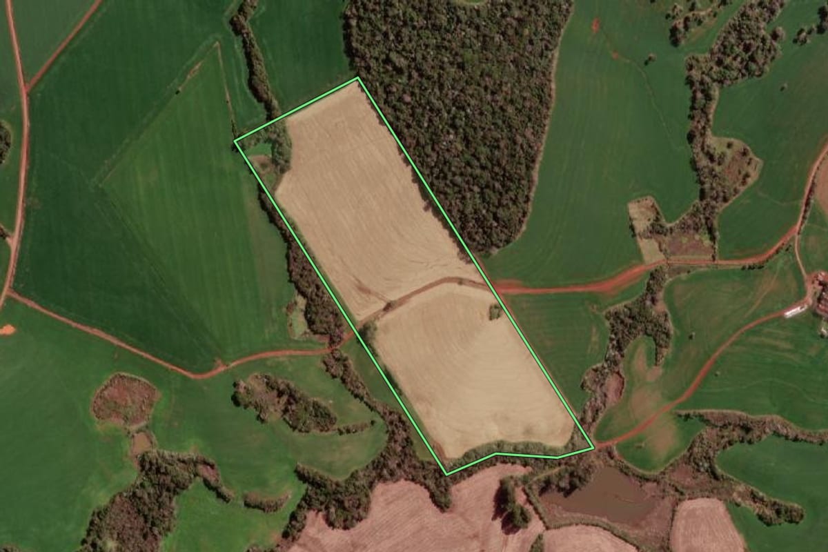 Imagem de satélite do imóvel rural em Redentora (RS), com o contorno declarado no CAR desenhado por cima.