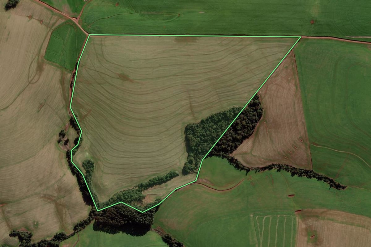 Imagem de satélite do imóvel rural em Redentora (RS), com o contorno declarado no CAR desenhado por cima.
