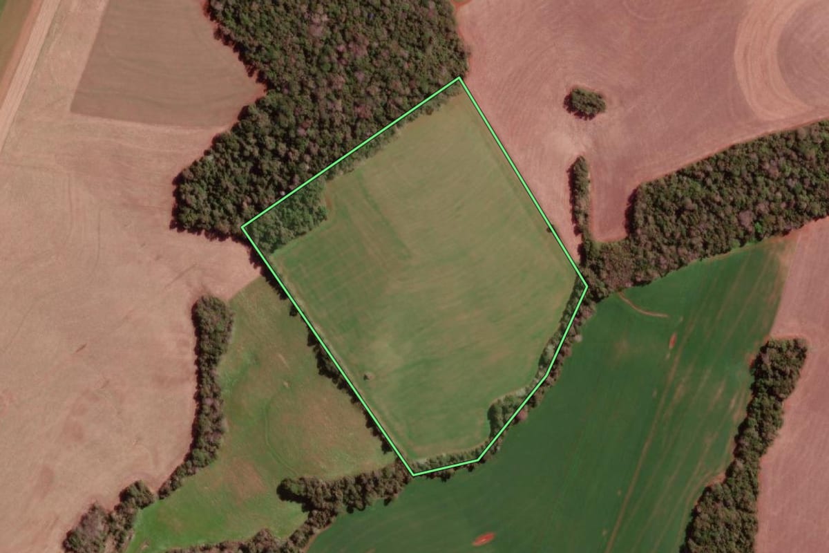 Imagem de satélite do imóvel rural em Redentora (RS), com o contorno declarado no CAR desenhado por cima.