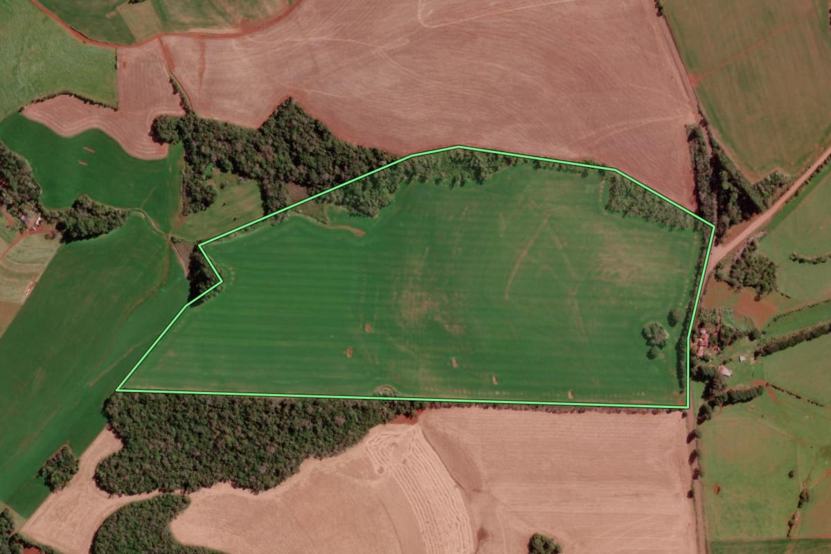 Imagem de satélite do imóvel rural em Redentora (RS), com o contorno declarado no CAR desenhado por cima.