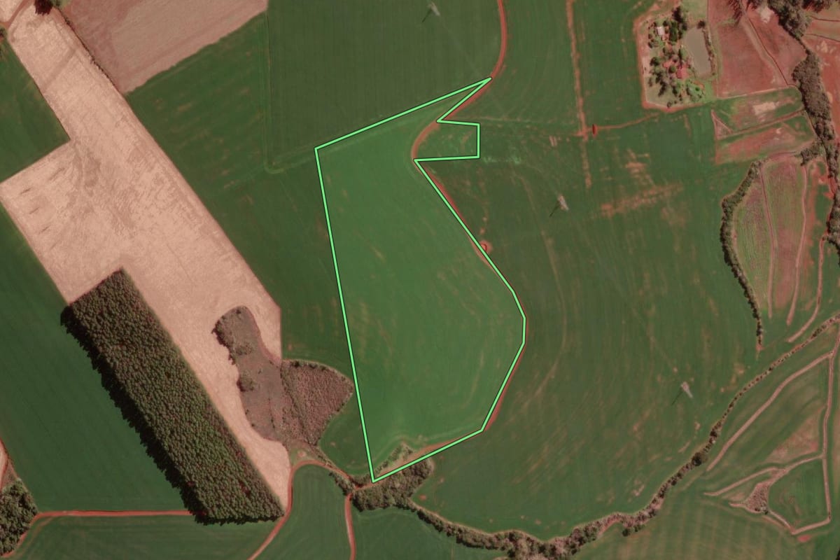 Imagem de satélite do imóvel rural em Redentora (RS), com o contorno declarado no CAR desenhado por cima.