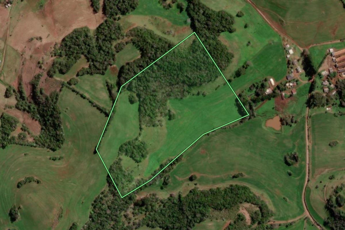 Imagem de satélite do imóvel rural em Redentora (RS), com o contorno declarado no CAR desenhado por cima.