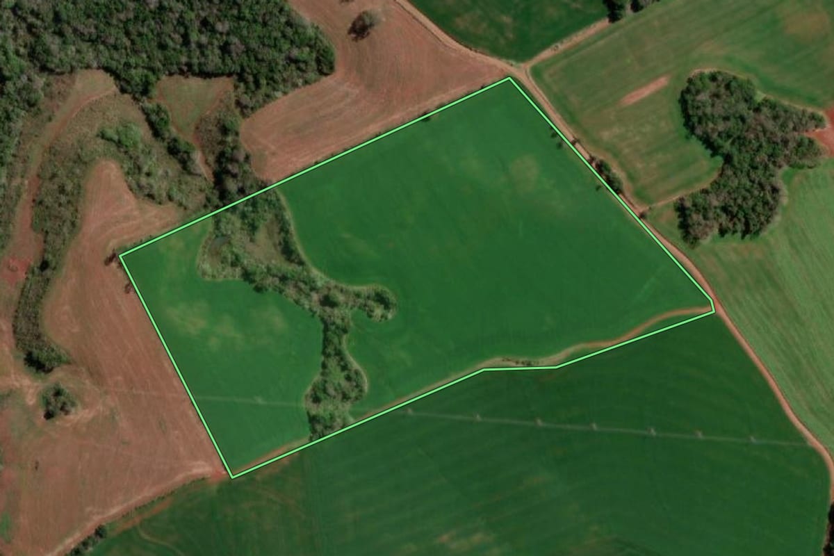 Imagem de satélite do imóvel rural em Redentora (RS), com o contorno declarado no CAR desenhado por cima.