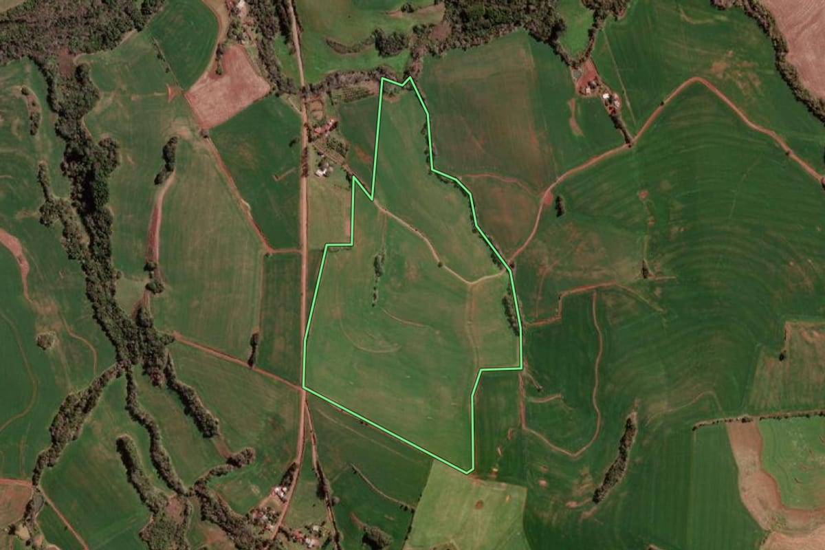 Imagem de satélite do imóvel rural em Redentora (RS), com o contorno declarado no CAR desenhado por cima.