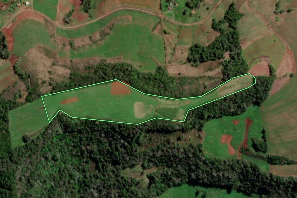 Imagem de satélite do imóvel rural em Redentora (RS), com o contorno declarado no CAR desenhado por cima.