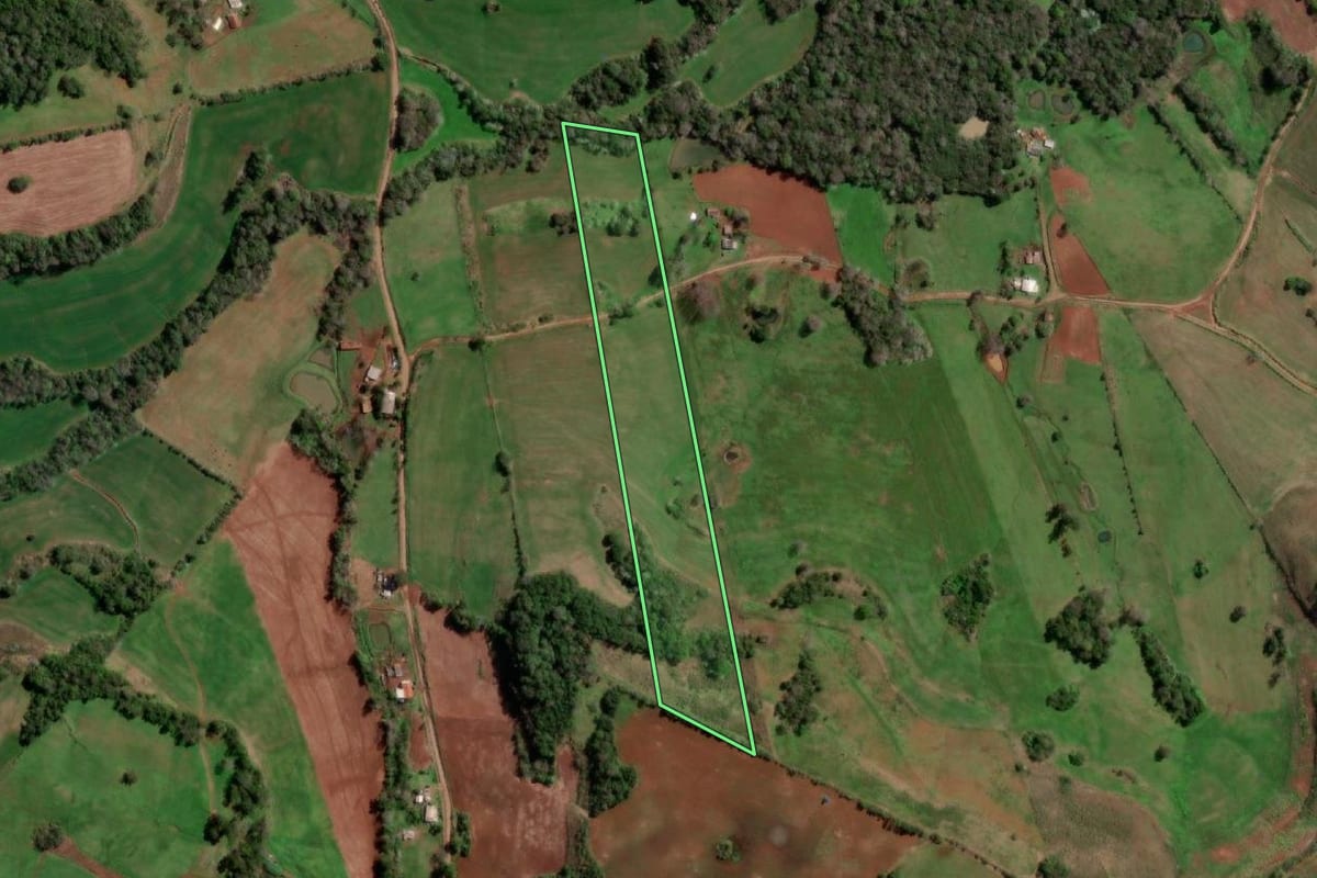 Imagem de satélite do imóvel rural em Redentora (RS), com o contorno declarado no CAR desenhado por cima.