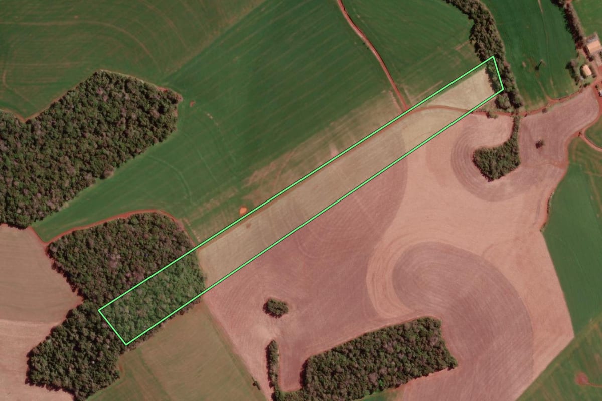 Imagem de satélite do imóvel rural em Redentora (RS), com o contorno declarado no CAR desenhado por cima.