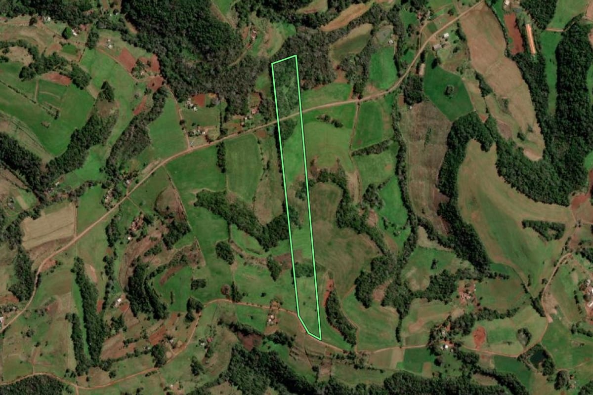 Imagem de satélite do imóvel rural em Redentora (RS), com o contorno declarado no CAR desenhado por cima.