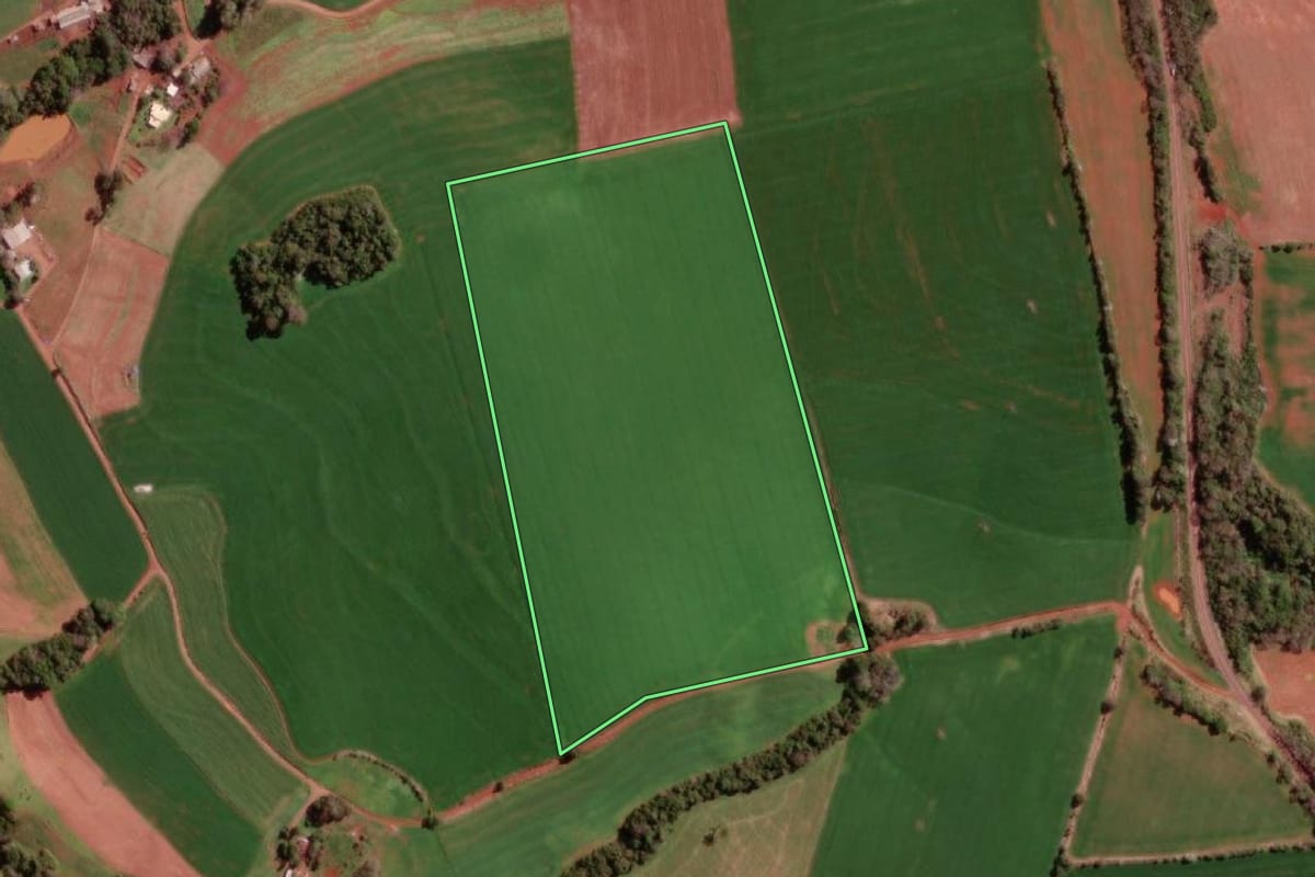 Imagem de satélite do imóvel rural em Redentora (RS), com o contorno declarado no CAR desenhado por cima.