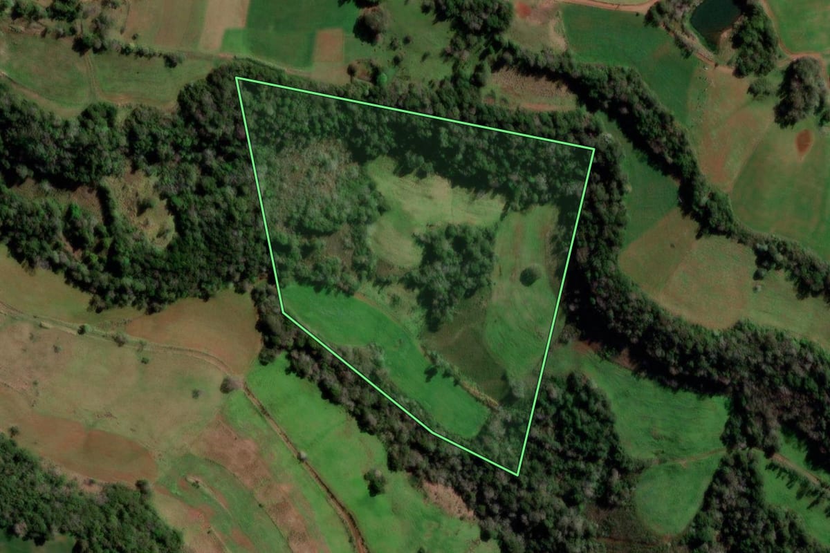 Imagem de satélite do imóvel rural em Redentora (RS), com o contorno declarado no CAR desenhado por cima.