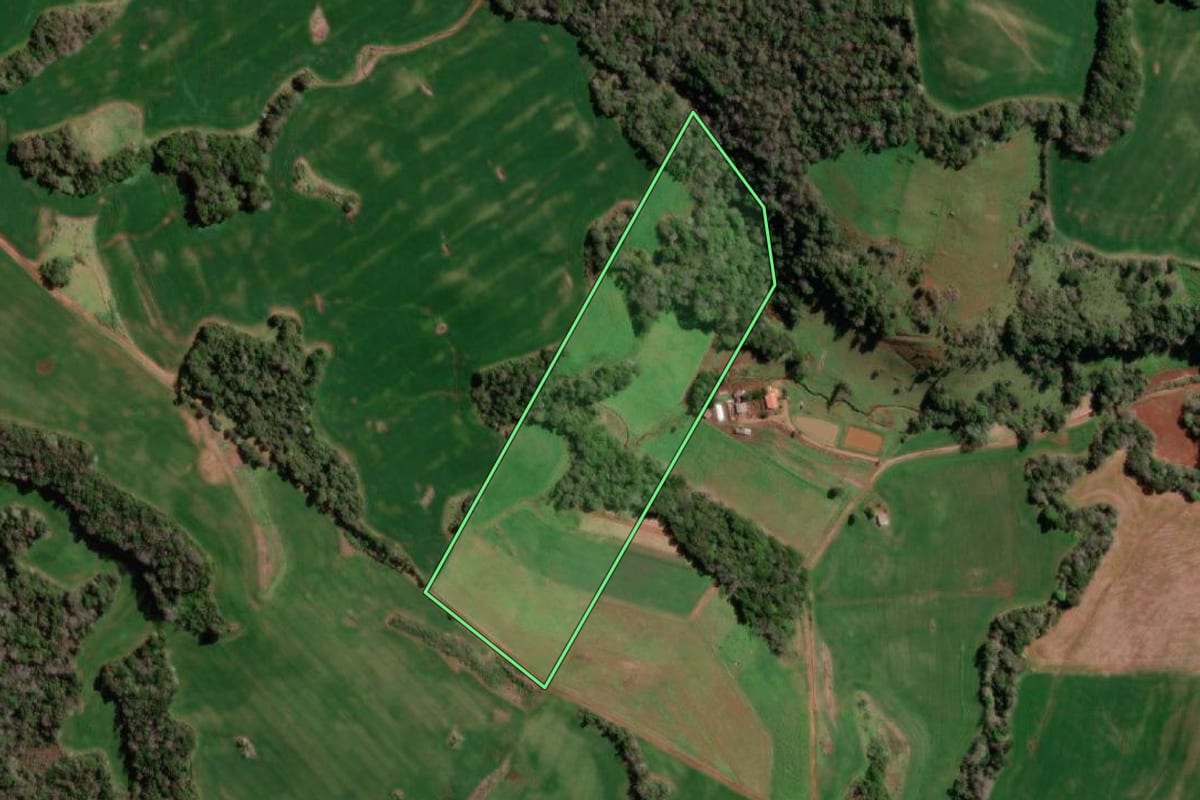 Imagem de satélite do imóvel rural em Redentora (RS), com o contorno declarado no CAR desenhado por cima.