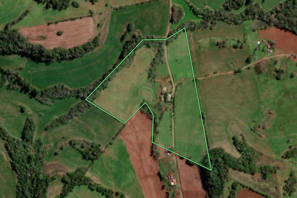 Imagem de satélite do imóvel rural em Redentora (RS), com o contorno declarado no CAR desenhado por cima.