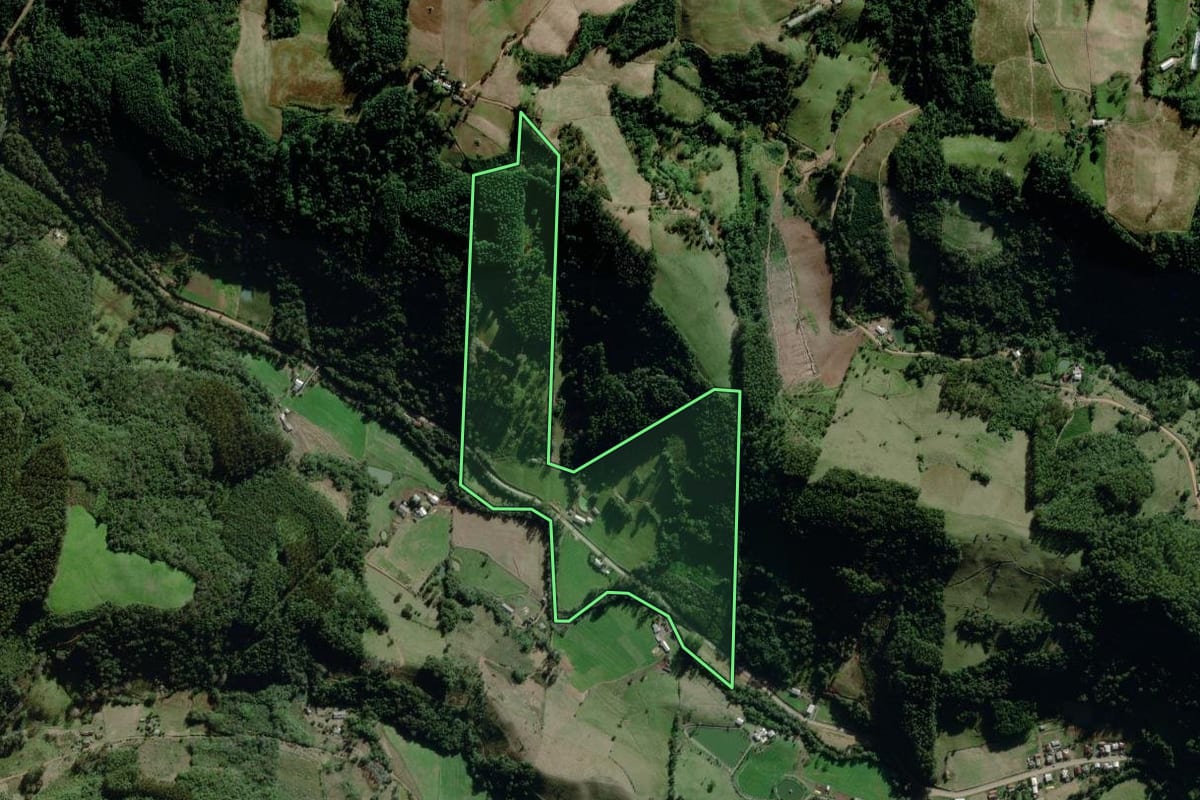 Imagem de satélite do imóvel rural em Relvado (RS), com o contorno declarado no CAR desenhado por cima.