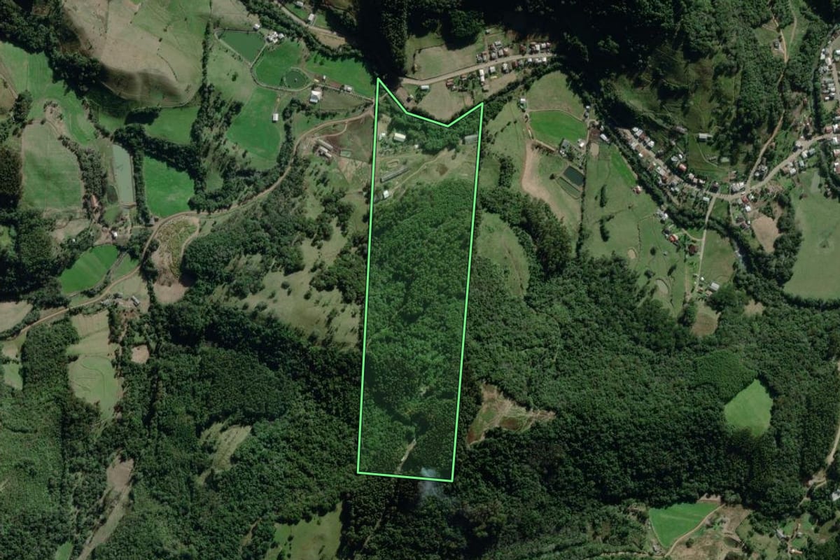 Imagem de satélite do imóvel rural em Relvado (RS), com o contorno declarado no CAR desenhado por cima.