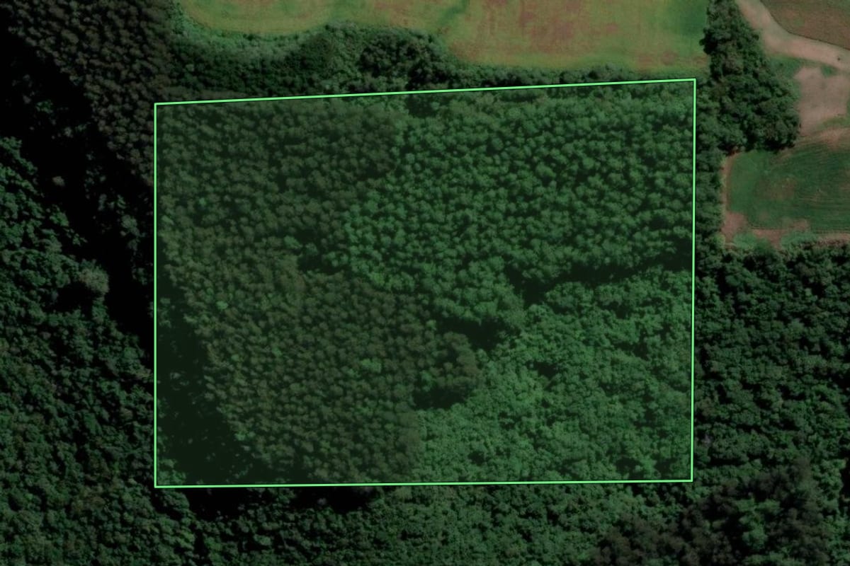 Imagem de satélite do imóvel rural em Relvado (RS), com o contorno declarado no CAR desenhado por cima.