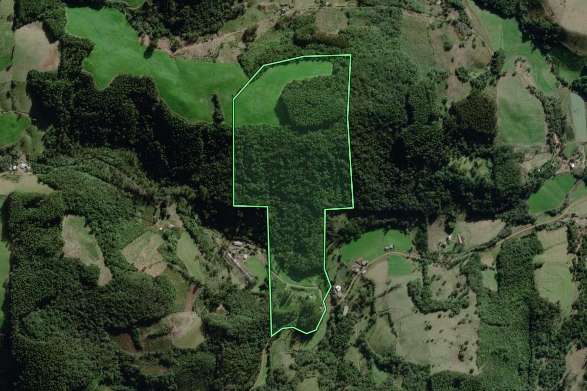 Imagem de satélite do imóvel rural em Relvado (RS), com o contorno declarado no CAR desenhado por cima.