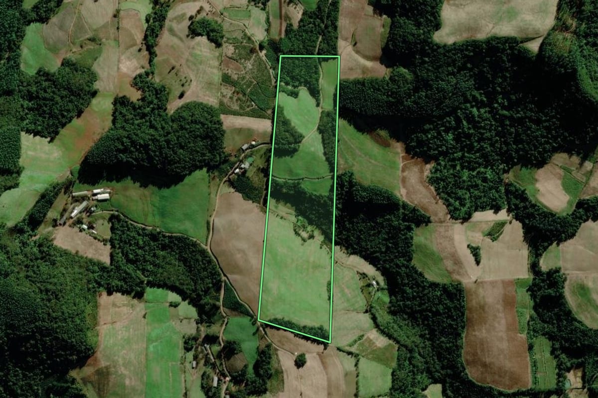Imagem de satélite do imóvel rural em Relvado (RS), com o contorno declarado no CAR desenhado por cima.