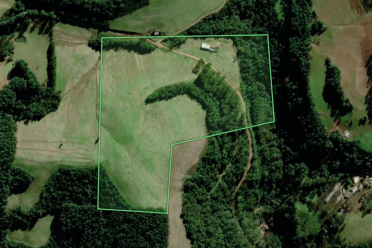 Imagem de satélite do imóvel rural em Relvado (RS), com o contorno declarado no CAR desenhado por cima.