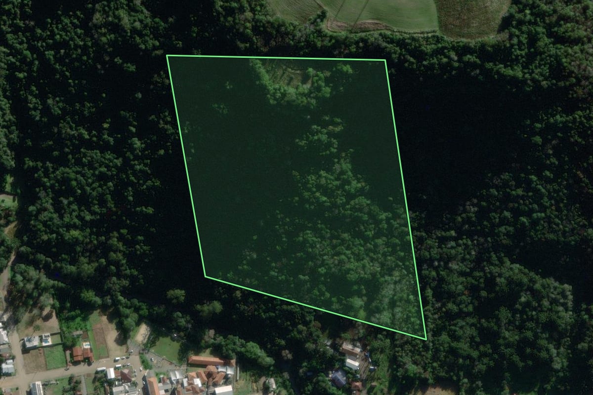Imagem de satélite do imóvel rural em Relvado (RS), com o contorno declarado no CAR desenhado por cima.