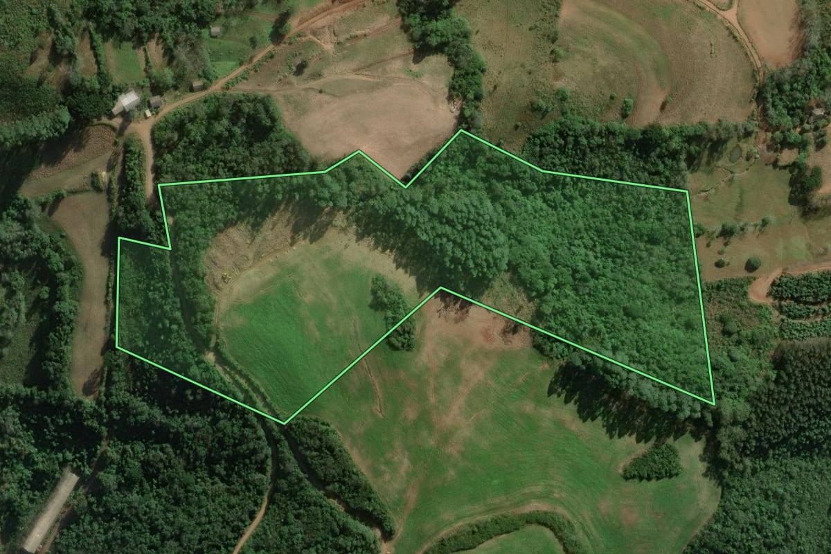 Imagem de satélite do imóvel rural em Relvado (RS), com o contorno declarado no CAR desenhado por cima.