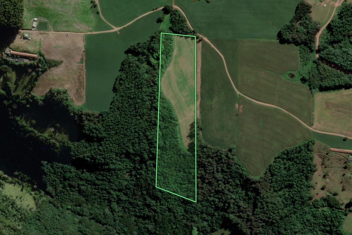 Imagem de satélite do imóvel rural em Relvado (RS), com o contorno declarado no CAR desenhado por cima.