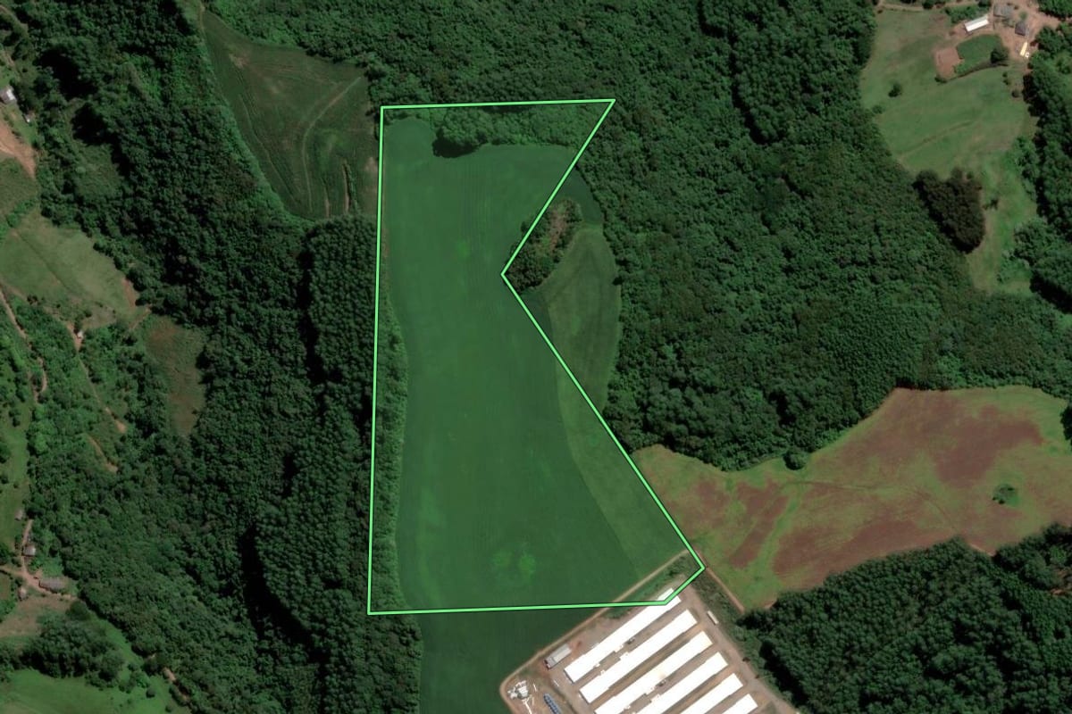 Imagem de satélite do imóvel rural em Relvado (RS), com o contorno declarado no CAR desenhado por cima.