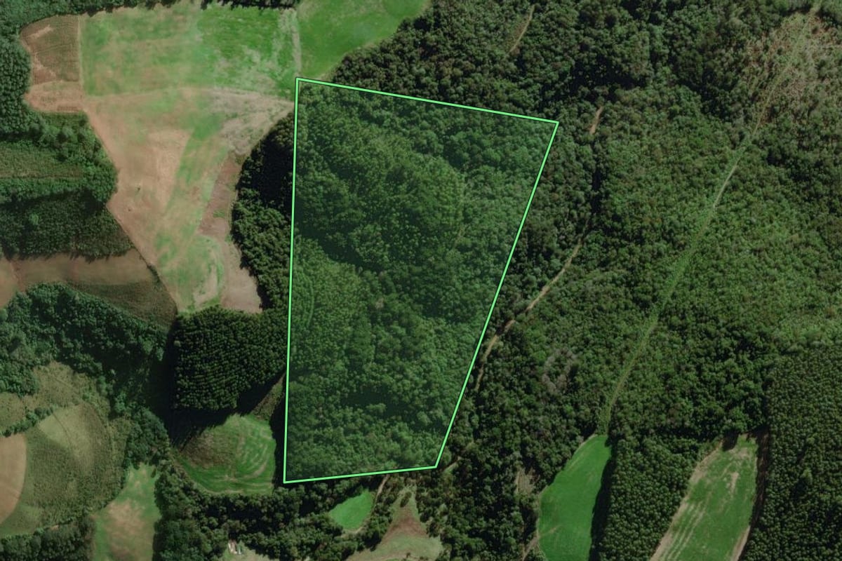 Imagem de satélite do imóvel rural em Relvado (RS), com o contorno declarado no CAR desenhado por cima.