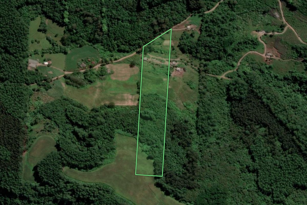 Imagem de satélite do imóvel rural em Relvado (RS), com o contorno declarado no CAR desenhado por cima.