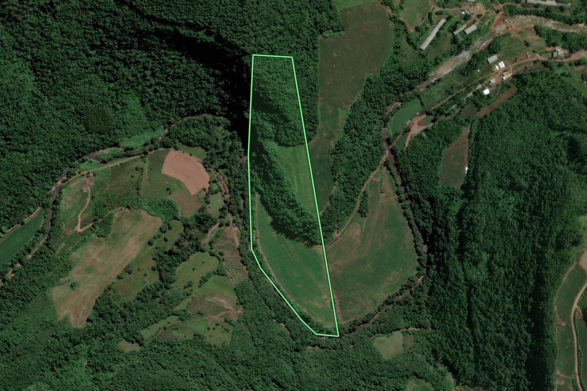 Imagem de satélite do imóvel rural em Relvado (RS), com o contorno declarado no CAR desenhado por cima.
